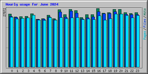 Hourly usage for June 2024