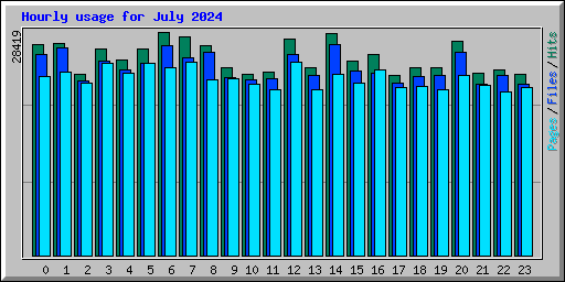 Hourly usage for July 2024