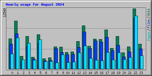 Hourly usage for August 2024