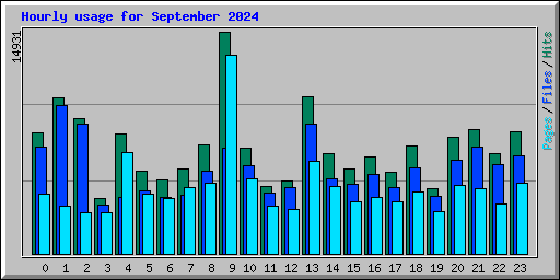 Hourly usage for September 2024