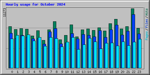 Hourly usage for October 2024