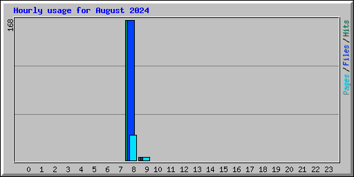 Hourly usage for August 2024