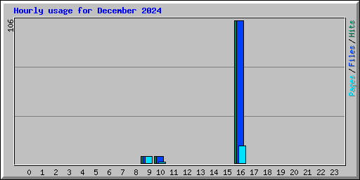 Hourly usage for December 2024