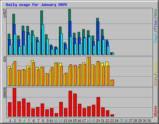 Daily usage for January 2025