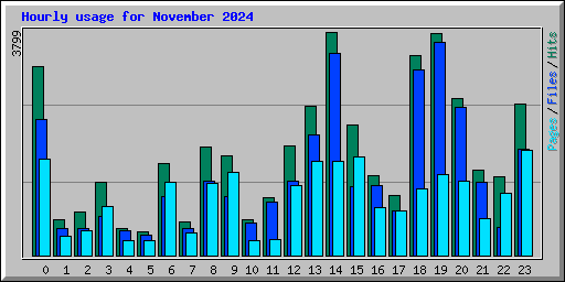 Hourly usage for November 2024