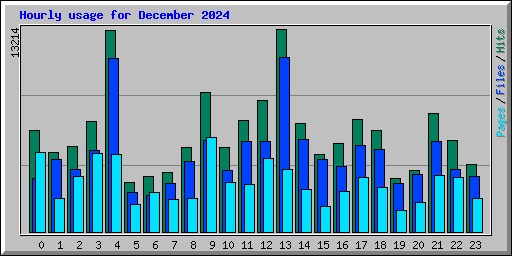 Hourly usage for December 2024