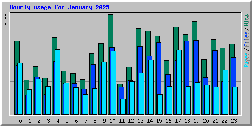 Hourly usage for January 2025