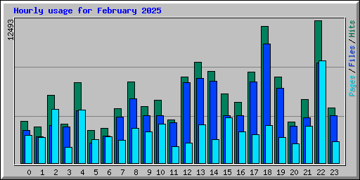 Hourly usage for February 2025