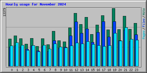 Hourly usage for November 2024