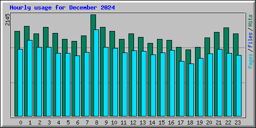 Hourly usage for December 2024